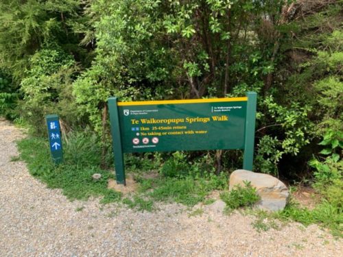 20191213_te waikoropupu springs walk_02