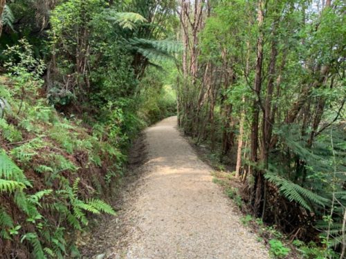 20191213_te waikoropupu springs walk_03