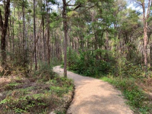 20191213_te waikoropupu springs walk_04