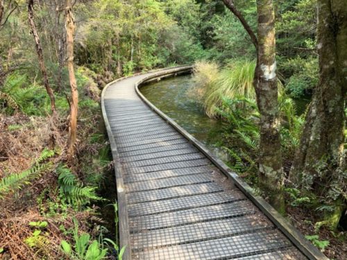 20191213_te waikoropupu springs walk_05