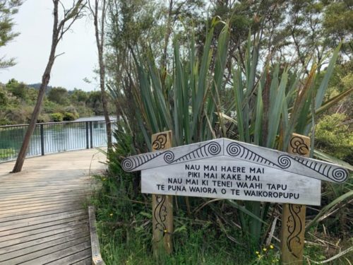 20191213_te waikoropupu springs walk_07