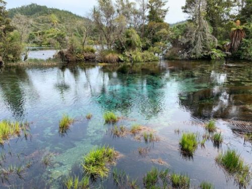 20191213_te waikoropupu springs walk_11