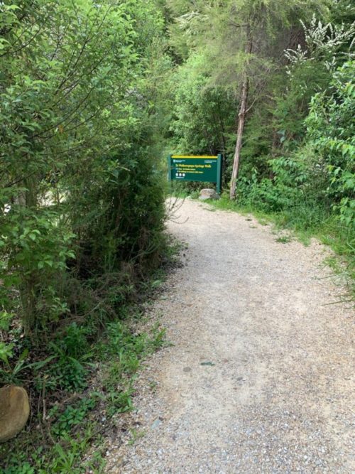 20191213_te waikoropupu springs walk_14
