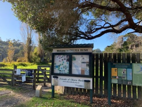 Okura bush walkway 20200521_1