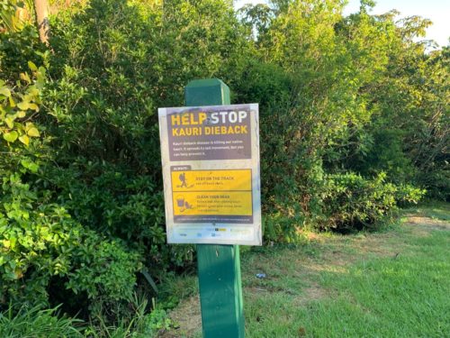 20190314_Beverley Price Looptrack_2