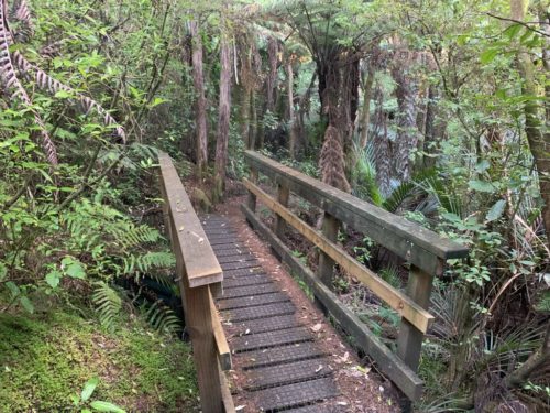 20190314_Beverley Price Looptrack_3