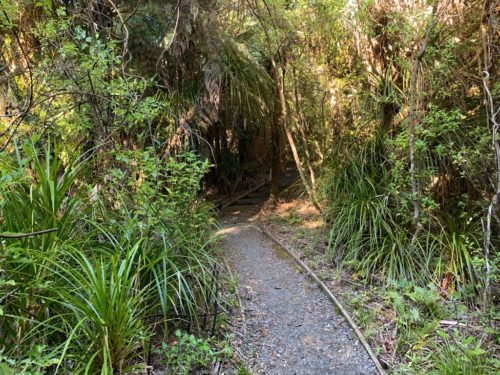 20190314_Beverley Price Looptrack_5