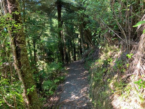 20190314_Beverley Price Looptrack_6