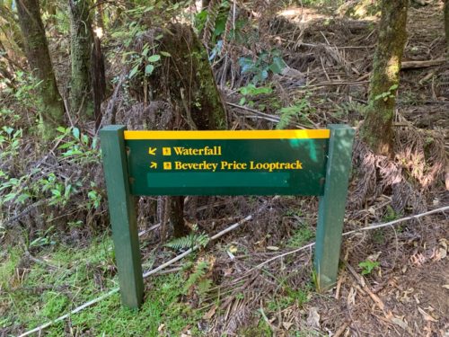 20190314_Beverley Price Looptrack_7