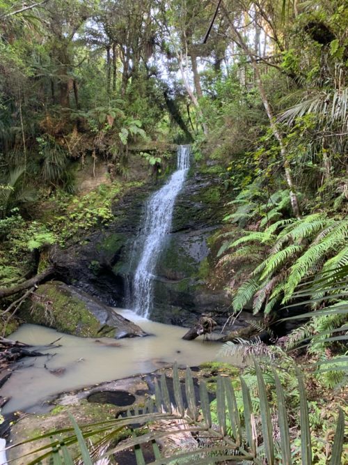 20190314_Beverley Price Looptrack_10