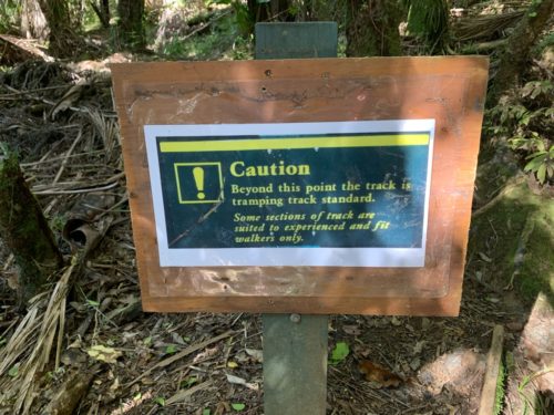 20190314_Beverley Price Looptrack_11