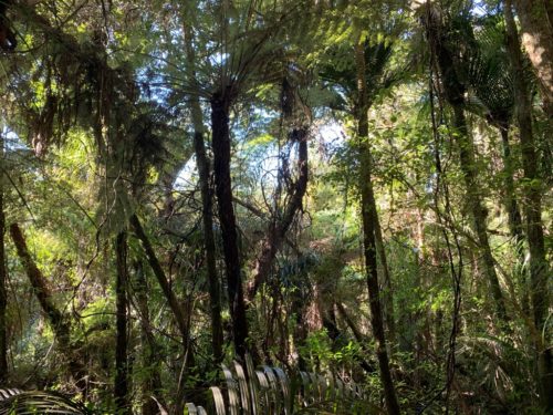 20190314_Beverley Price Looptrack_12