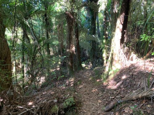 20190314_Beverley Price Looptrack_13