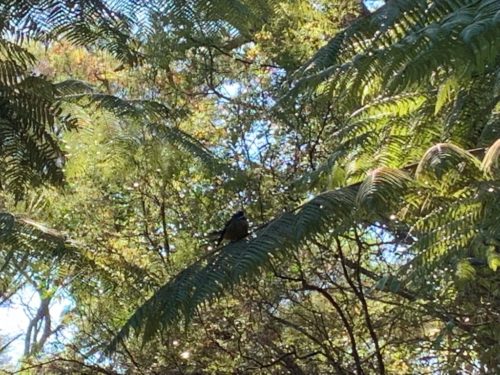 20190314_Beverley Price Looptrack_17