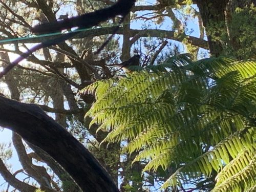 20190314_Beverley Price Looptrack_18