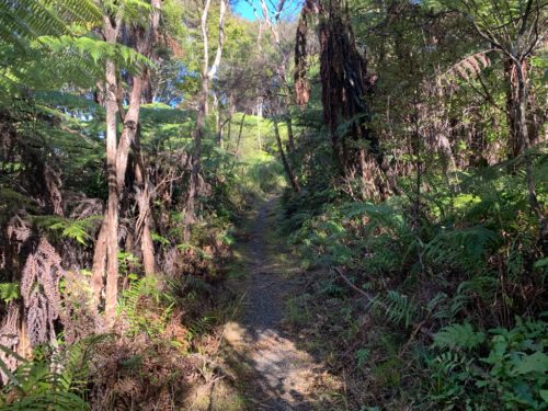 20190314_Beverley Price Looptrack_19