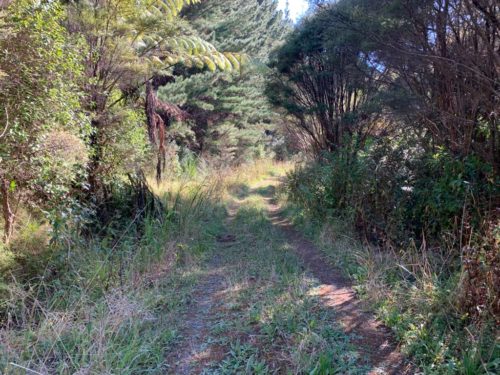 20190314_Beverley Price Looptrack_22