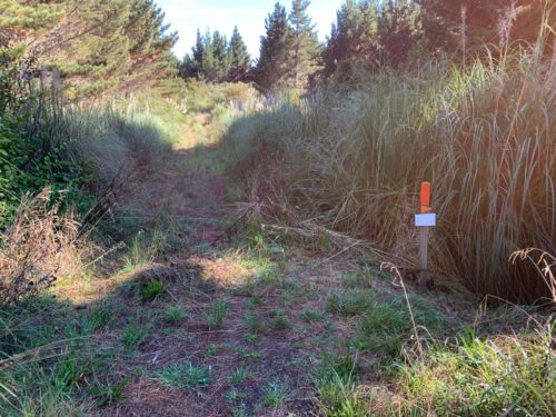 20190314_Beverley Price Looptrack_24