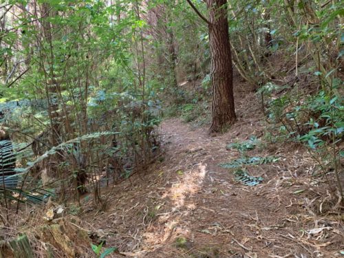 20190314_Beverley Price Looptrack_25