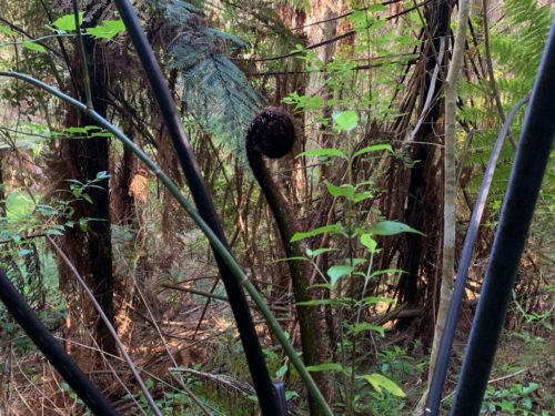 20190314_Beverley Price Looptrack_27