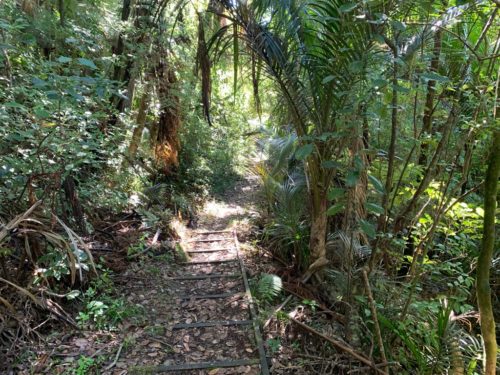 20190314_Beverley Price Looptrack_28