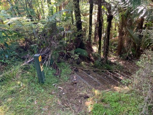 20190314_Beverley Price Looptrack_29