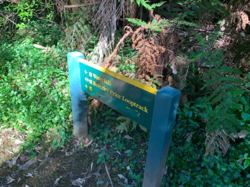 20190314_Beverley Price Looptrack_31