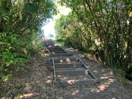 20190314_Beverley Price Looptrack_32